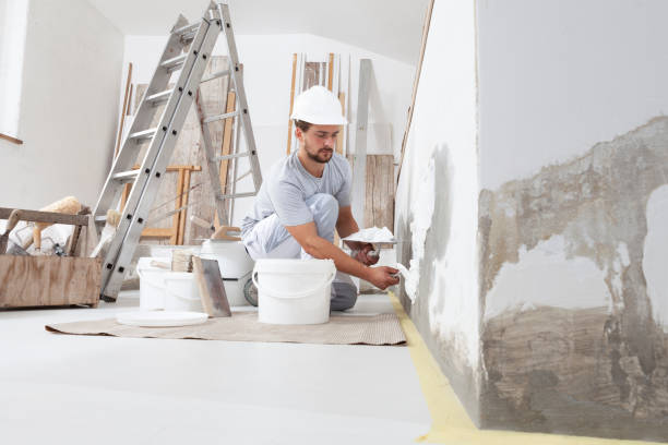 Best Eco-Friendly and Low-VOC Painting  in Carlyss, LA